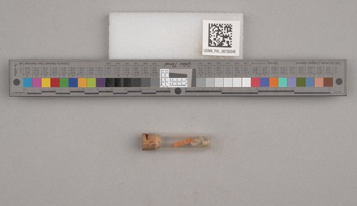 NSF ADBC EPICC TCN