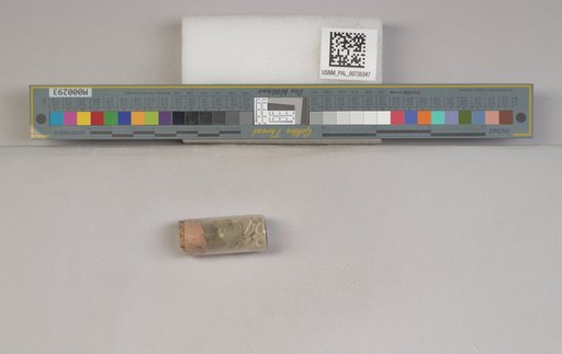 NSF ADBC EPICC TCN