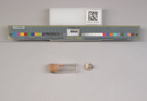 NSF ADBC EPICC TCN