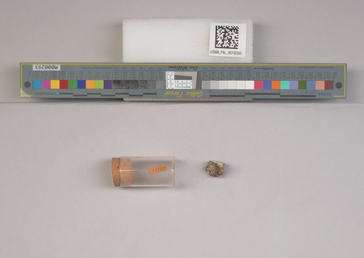 NSF ADBC EPICC TCN