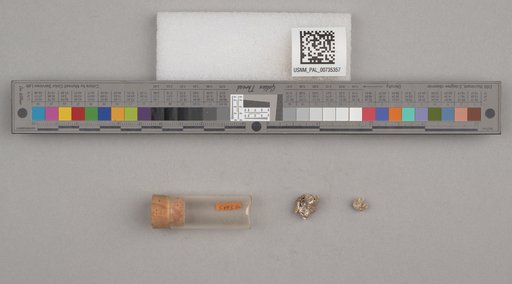NSF ADBC EPICC TCN