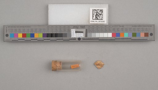 NSF ADBC EPICC TCN