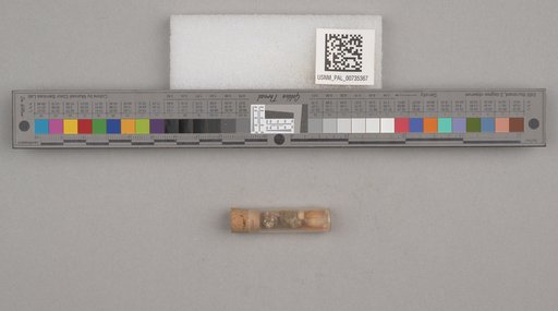 NSF ADBC EPICC TCN