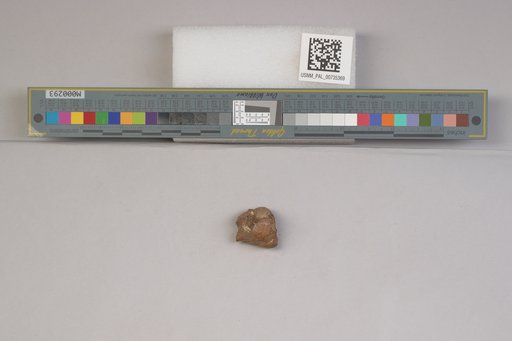 NSF ADBC EPICC TCN