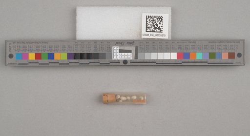 NSF ADBC EPICC TCN