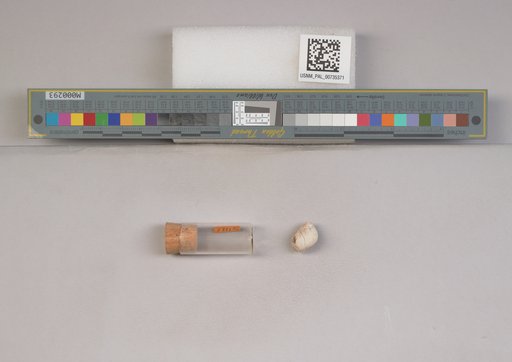 NSF ADBC EPICC TCN