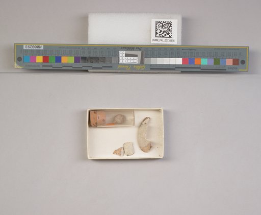 NSF ADBC EPICC TCN