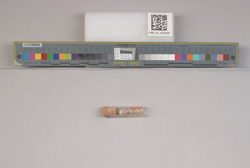 NSF ADBC EPICC TCN