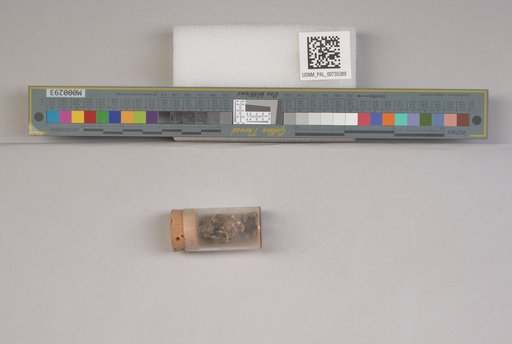 NSF ADBC EPICC TCN