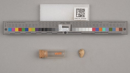 NSF ADBC EPICC TCN