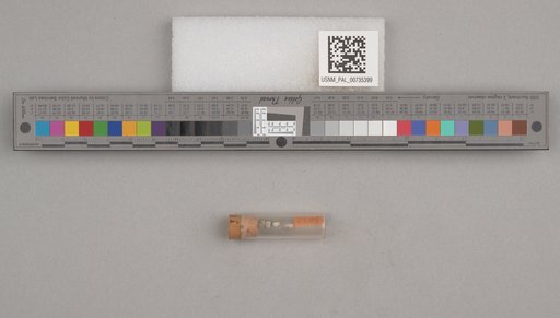 NSF ADBC EPICC TCN