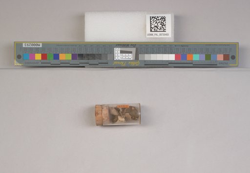 NSF ADBC EPICC TCN