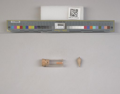 NSF ADBC EPICC TCN