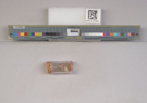 NSF ADBC EPICC TCN