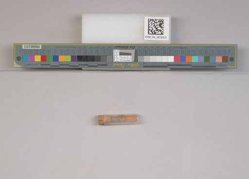 NSF ADBC EPICC TCN