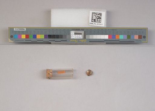 NSF ADBC EPICC TCN
