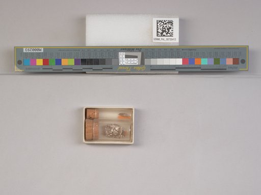 NSF ADBC EPICC TCN