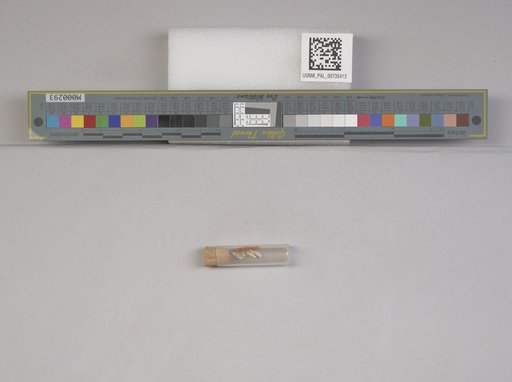 NSF ADBC EPICC TCN