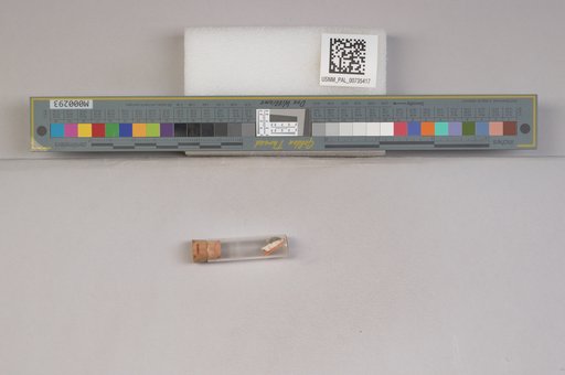 NSF ADBC EPICC TCN
