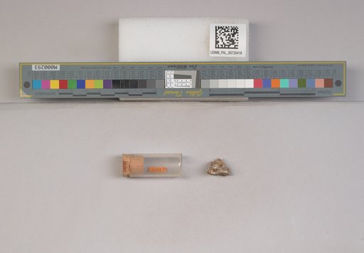 NSF ADBC EPICC TCN