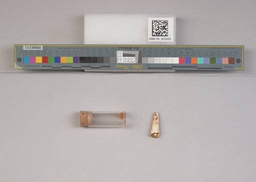 NSF ADBC EPICC TCN