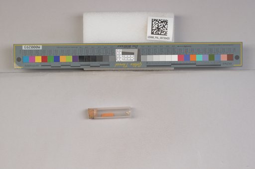 NSF ADBC EPICC TCN