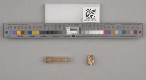 NSF ADBC EPICC TCN
