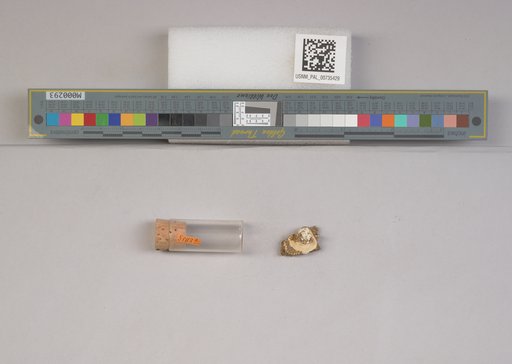 NSF ADBC EPICC TCN