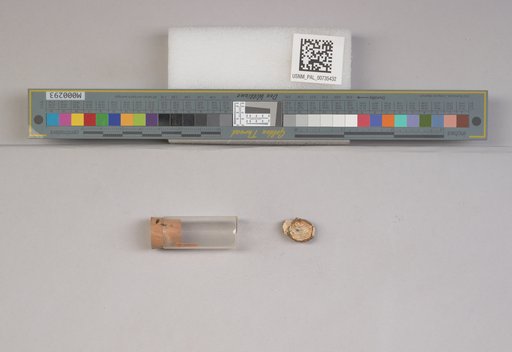 NSF ADBC EPICC TCN