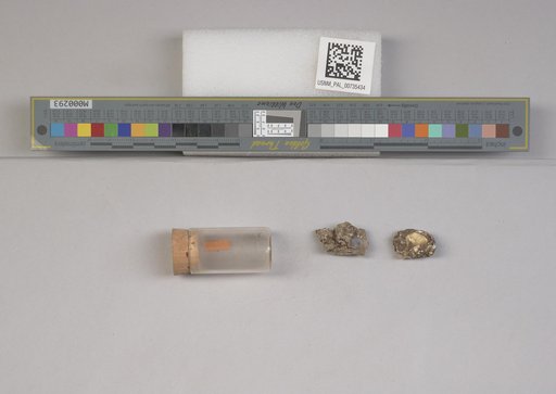 NSF ADBC EPICC TCN