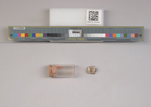 NSF ADBC EPICC TCN