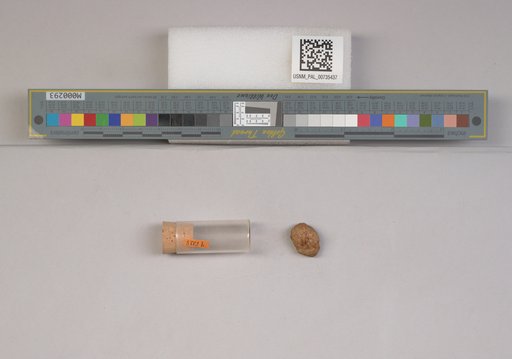 NSF ADBC EPICC TCN