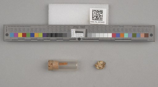 NSF ADBC EPICC TCN