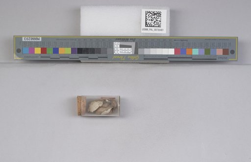 NSF ADBC EPICC TCN
