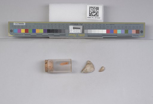 NSF ADBC EPICC TCN