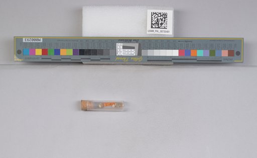 NSF ADBC EPICC TCN