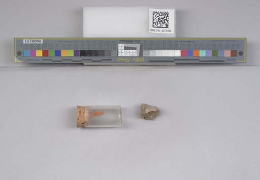 NSF ADBC EPICC TCN