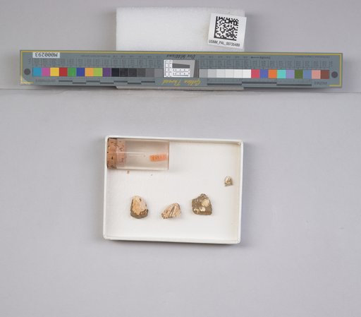 NSF ADBC EPICC TCN
