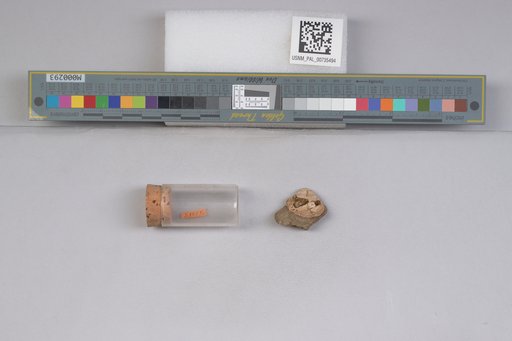 NSF ADBC EPICC TCN
