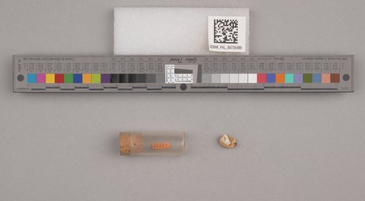 NSF ADBC EPICC TCN