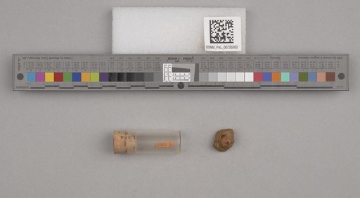 NSF ADBC EPICC TCN
