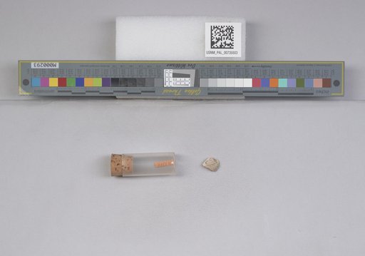 NSF ADBC EPICC TCN