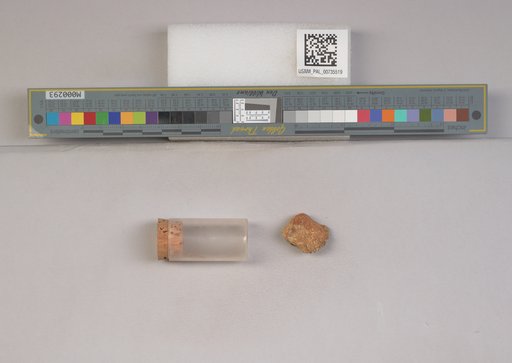 NSF ADBC EPICC TCN