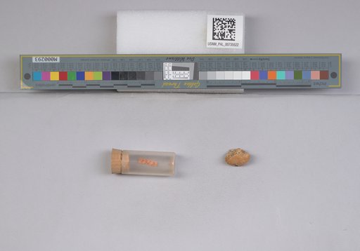NSF ADBC EPICC TCN