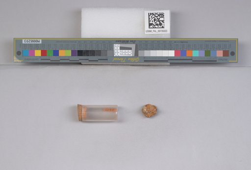 NSF ADBC EPICC TCN