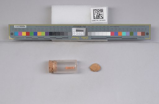 NSF ADBC EPICC TCN