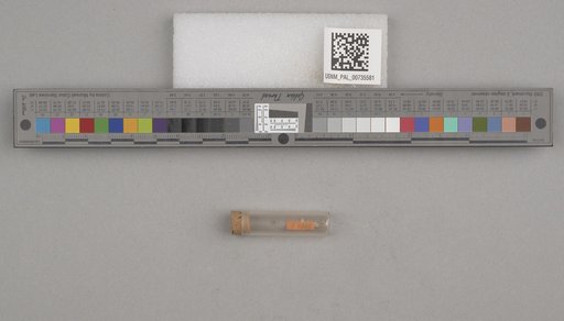 NSF ADBC EPICC TCN