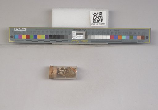 NSF ADBC EPICC TCN