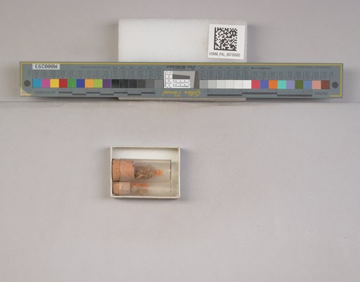 NSF ADBC EPICC TCN