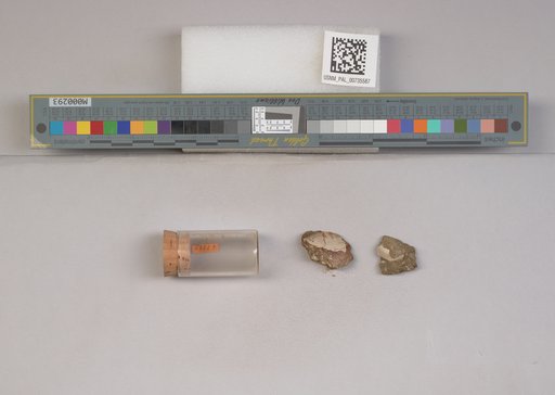NSF ADBC EPICC TCN